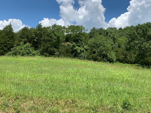 Dry Mill Road Hilham, TN 38568 - Photo 8 of 11 IMG_8325