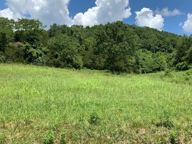 Dry Mill Road Hilham, TN 38568 - Photo 9 of 11 IMG_8326