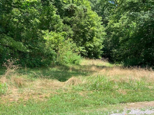 Dry Mill Road Hilham, TN 38568 - Photo 10 of 11 IMG_8327