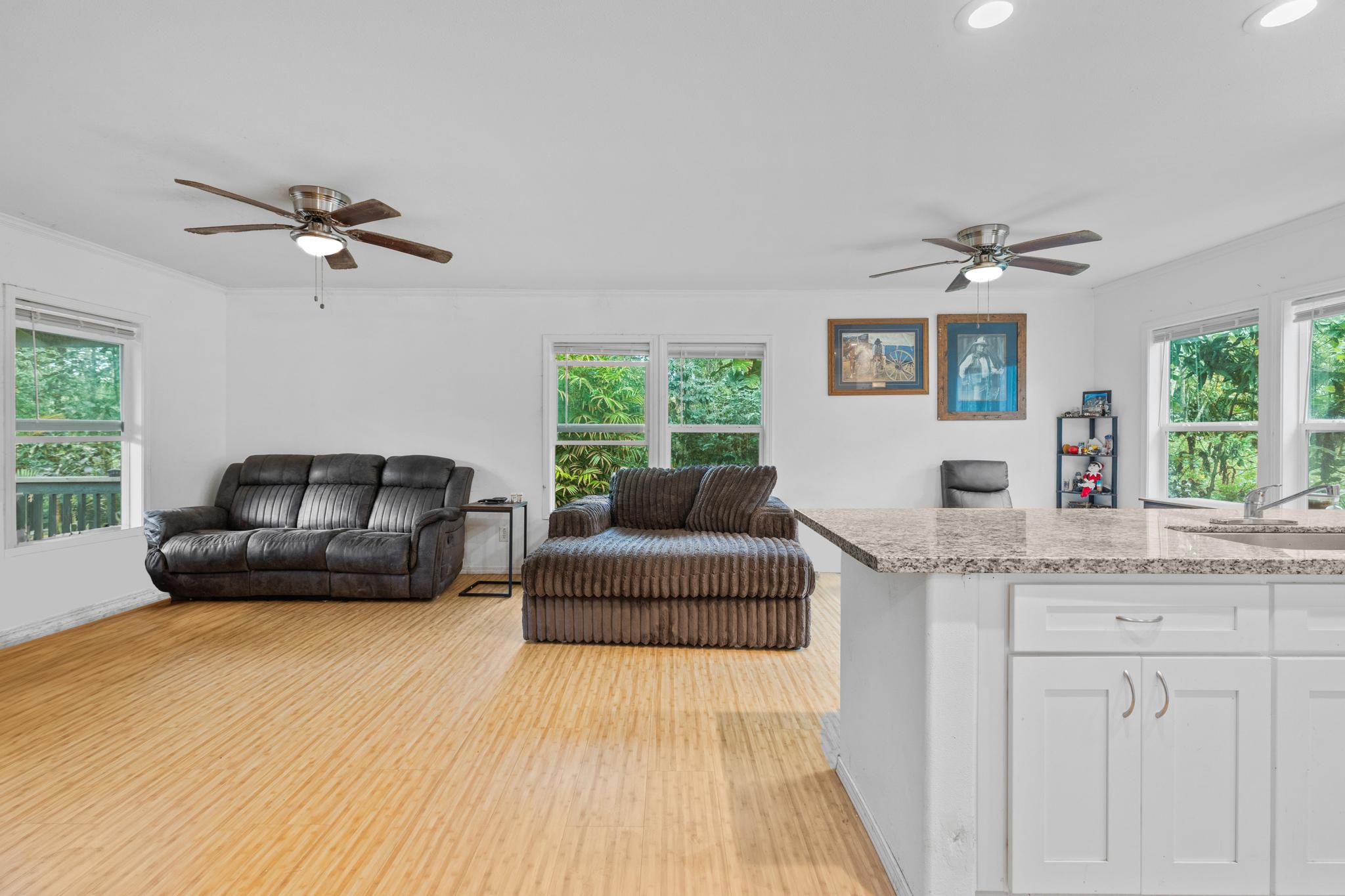 14-823 Seaview Road Pahoa, HI 96778 - Photo 4 of 23 a living room with furniture and a window