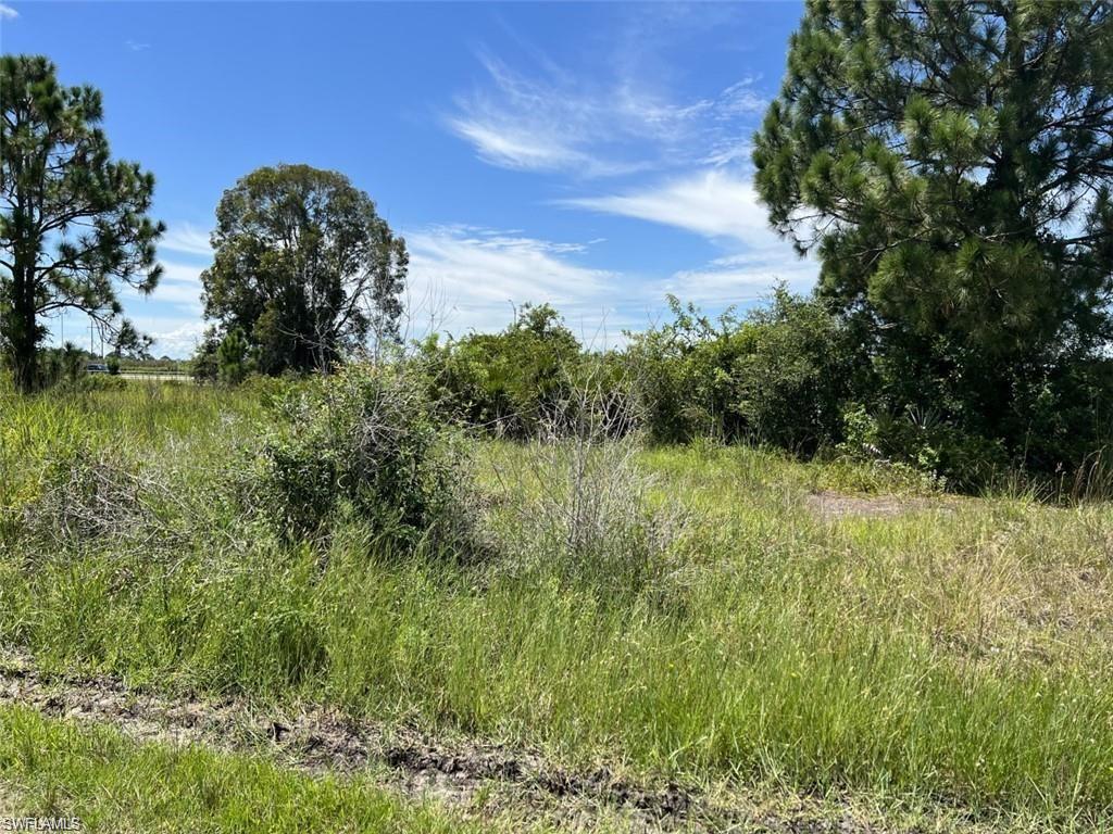 3370 Meadow Road Lehigh Acres, FL 33974 - Photo 1 of 5 a view of a garden