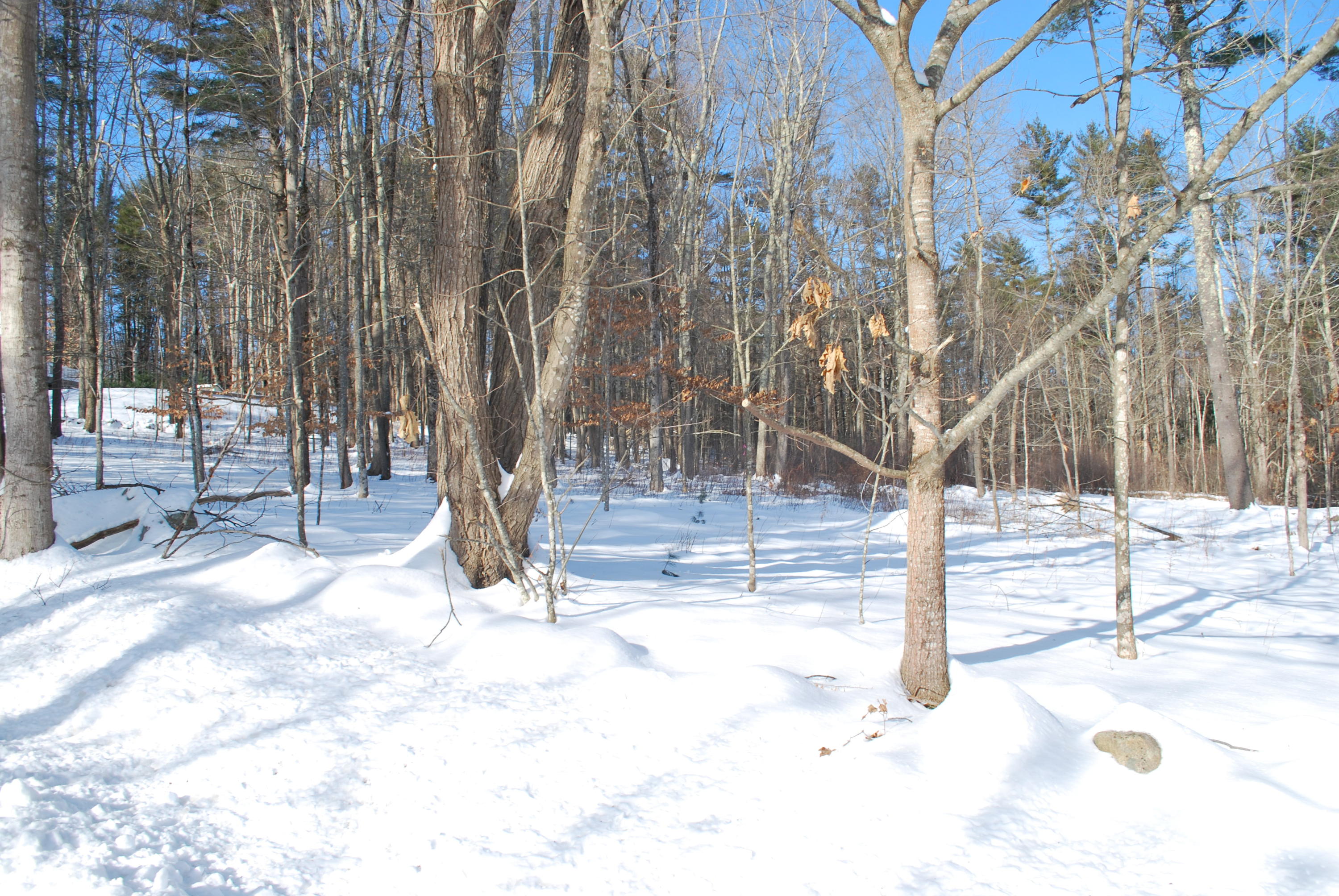 21 Frost Hill Road York, ME 03909 - Photo 2 of 3 DSC_1156