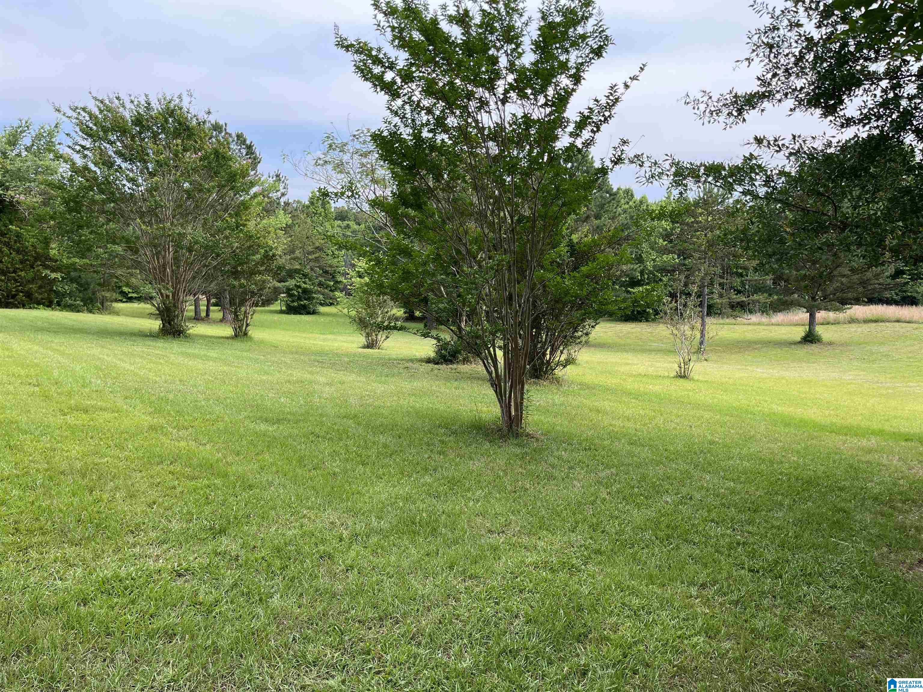 965 Watts Road Munford, AL 36268 - Photo 52 of 52