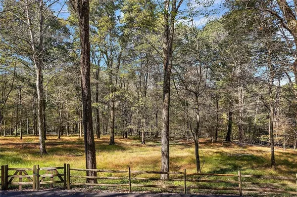a view of a yard with trees