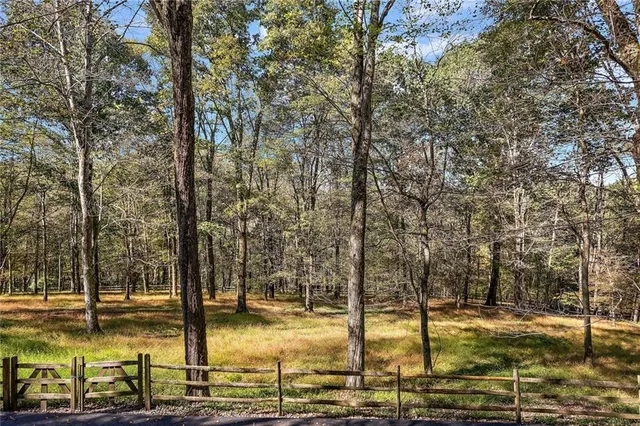 a view of a yard with trees