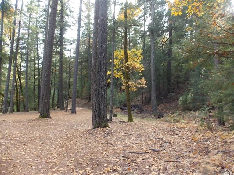 30493 Hunters Road Potter Valley, CA 95469 - Photo 1 of 1 Gallery Image 1