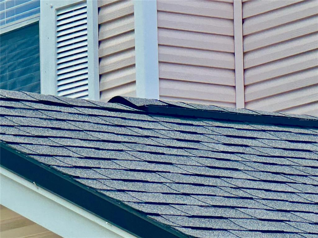 2320 Pebble Brook Road Kissimmee, FL 34741 - Photo 22 of 23