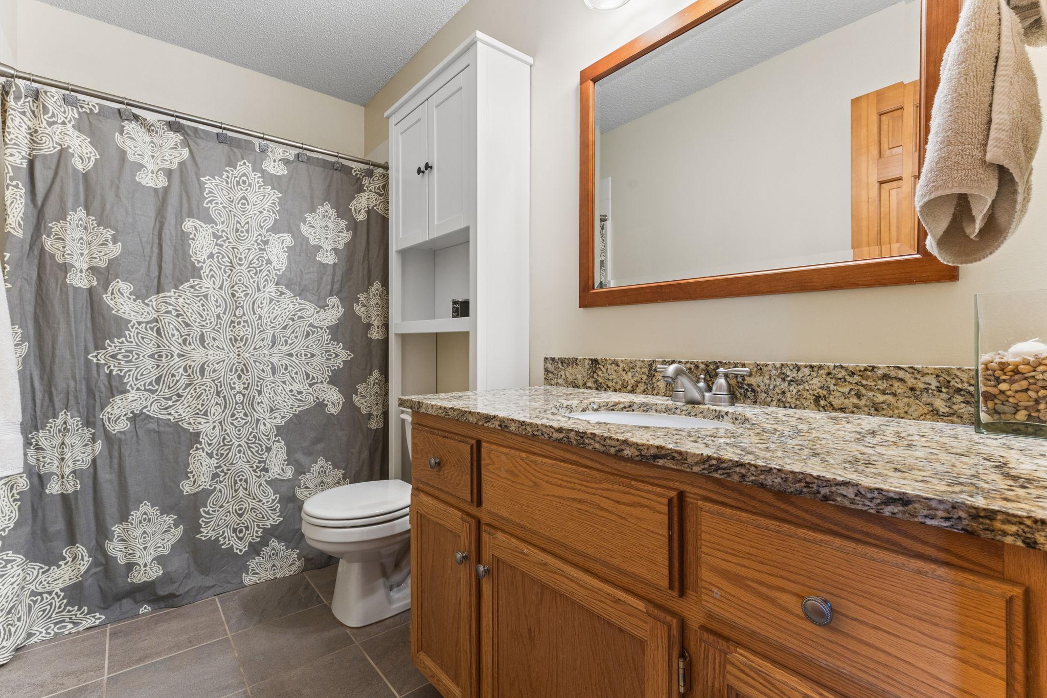 1132 Falls Circle Chaska, MN 55318 - Photo 19 of 32