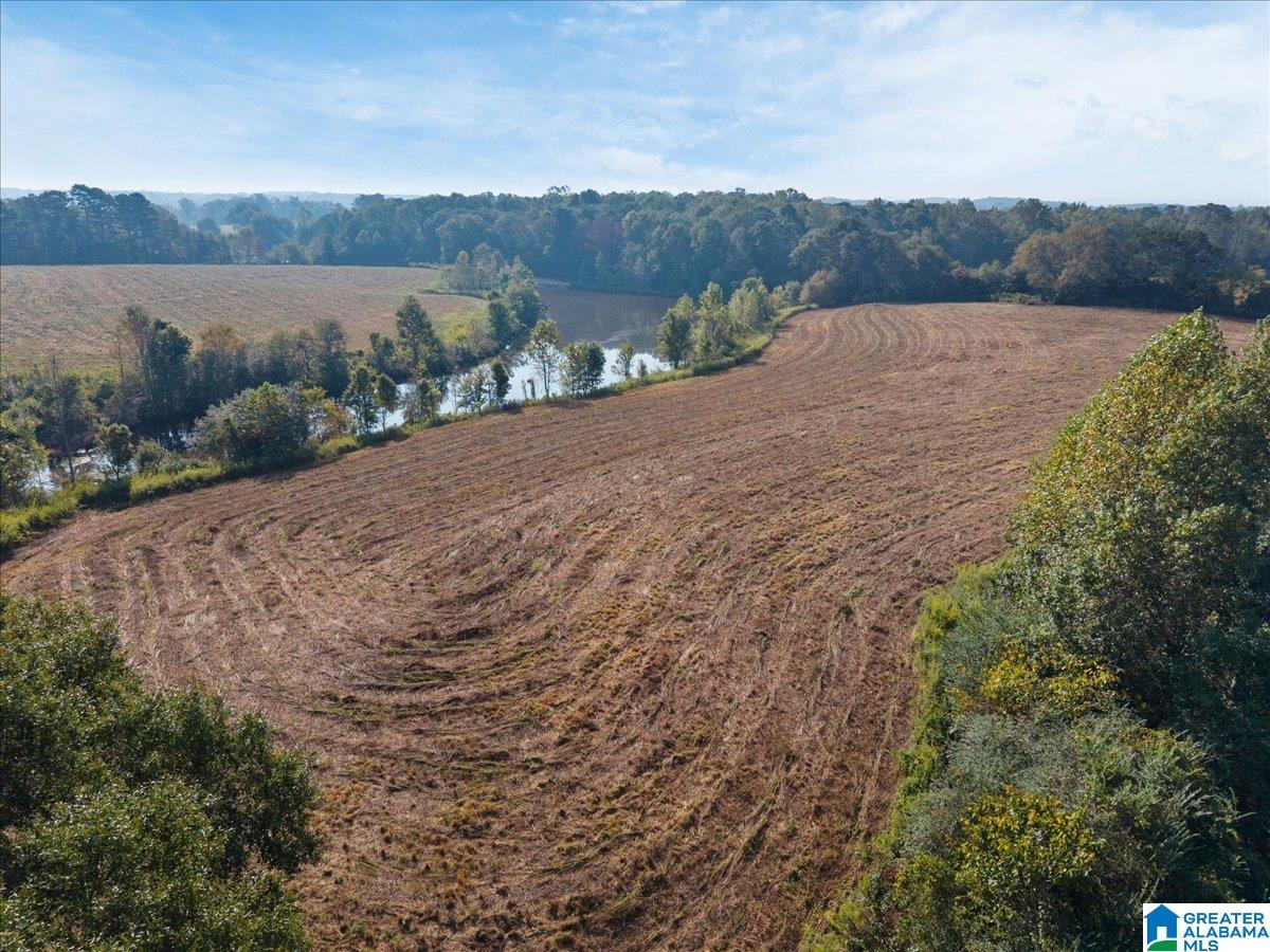 21 County Road, Unit 2 00 Horton, AL 35980 - Photo 11 of 17