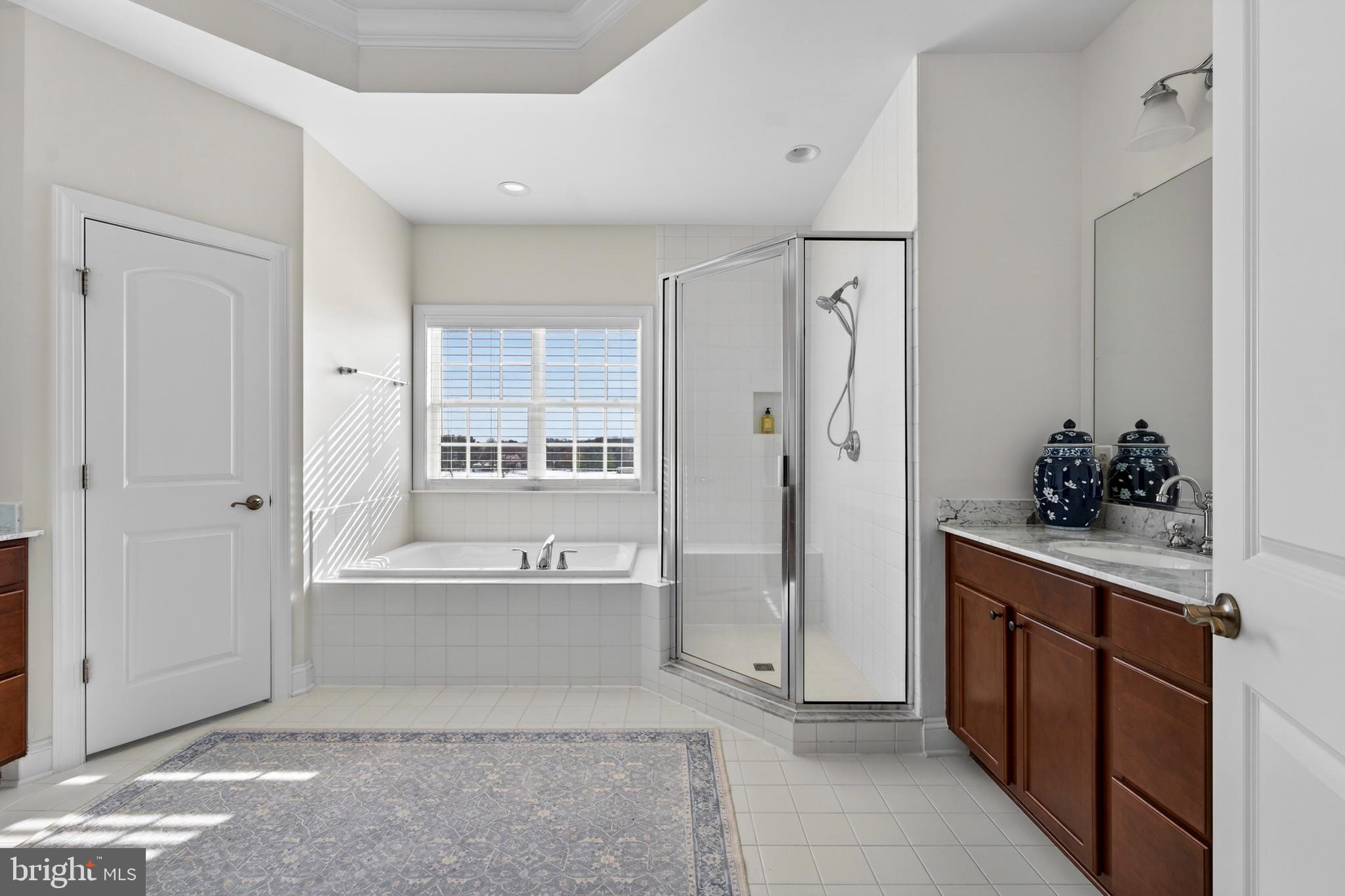 Bridle Ridge Lane Purcellville, VA 20132 - Photo 56 of 70 Master Bath