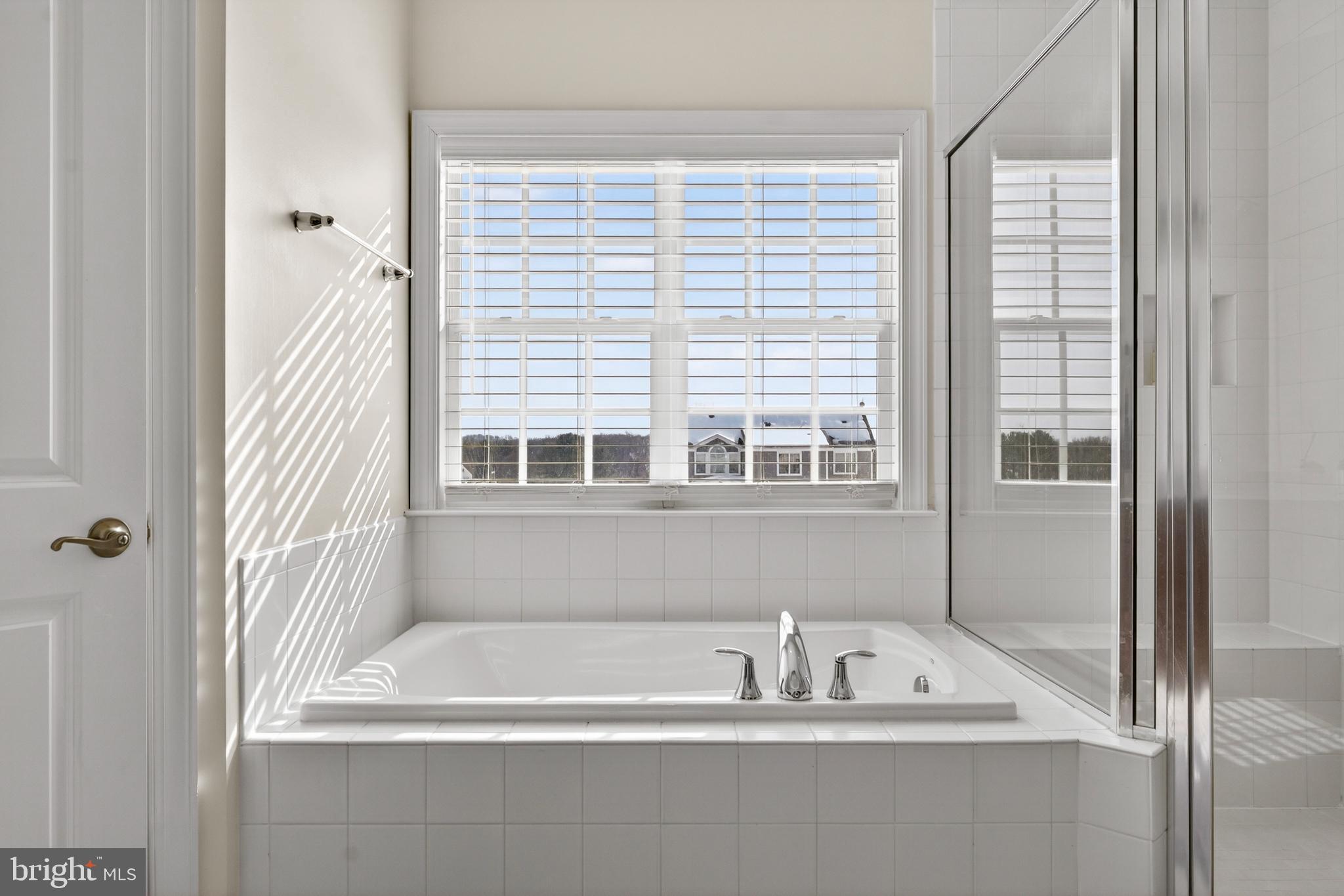 Bridle Ridge Lane Purcellville, VA 20132 - Photo 59 of 70 Master Bath