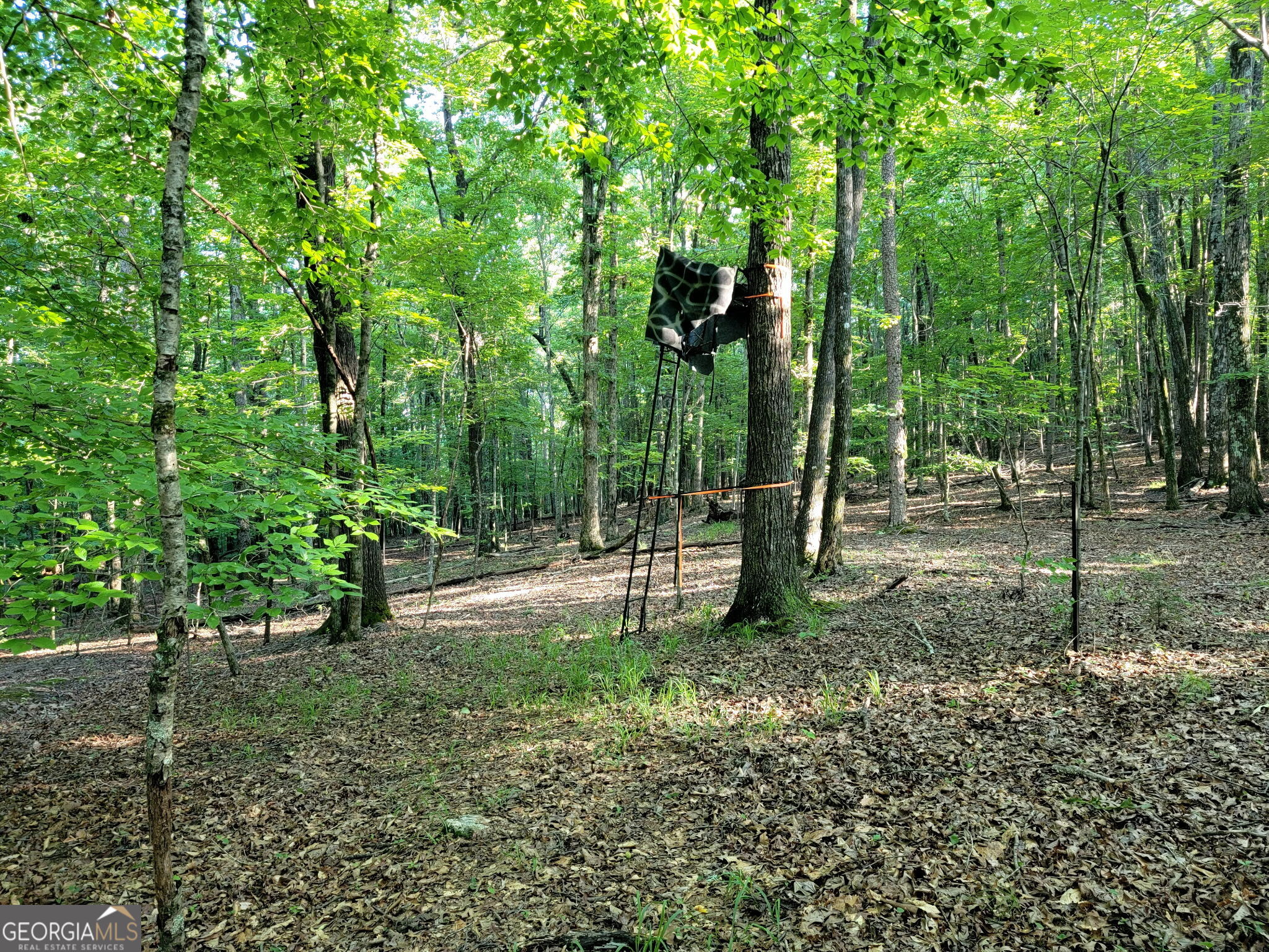 833 Neal Gap Road Summerville, GA 30747 - Photo 77 of 86