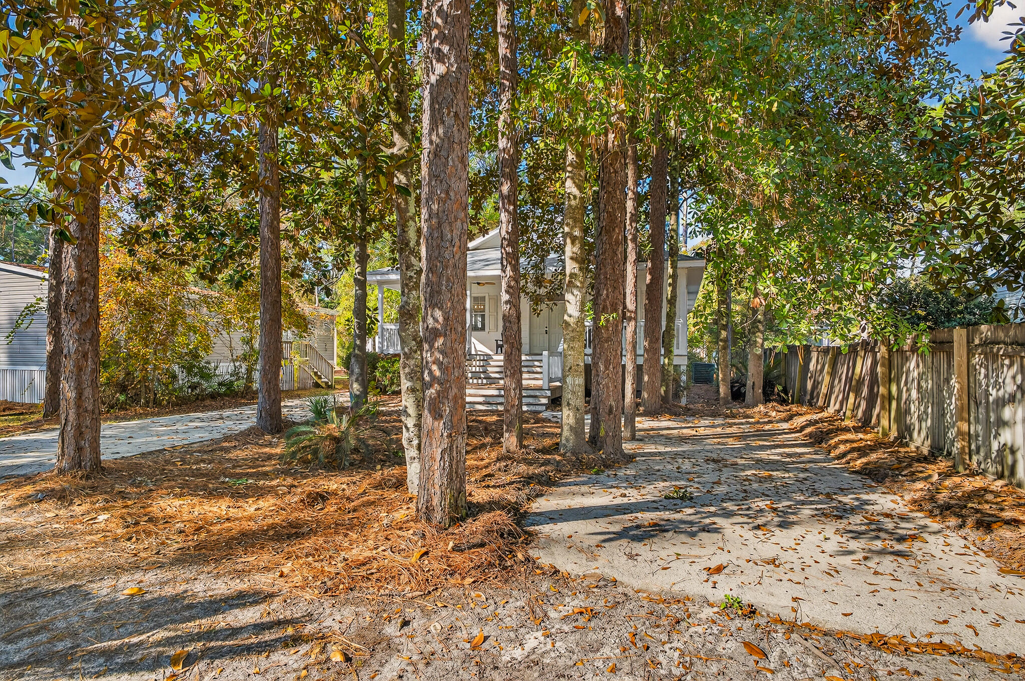 115 Central 6th Street Santa Rosa Beach, FL 32459 - Photo 2 of 56 a view of a yard with trees