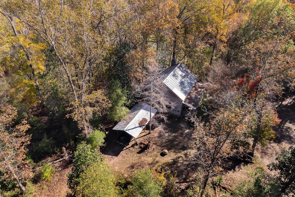 3134 Benton Store Road Columbia, AL 36319 - Photo 61 of 62