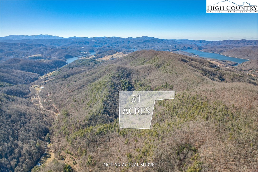 Copperhead Hollow Road Butler, TN 37640 - Photo 1 of 34
