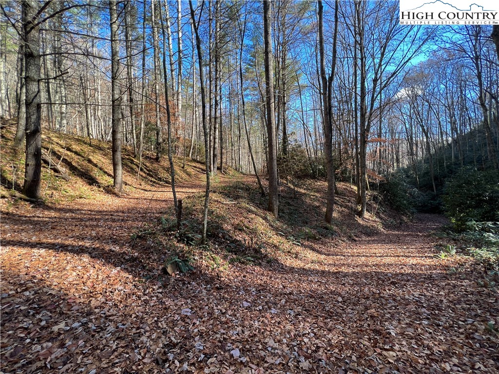 Copperhead Hollow Road Butler, TN 37640 - Photo 16 of 34