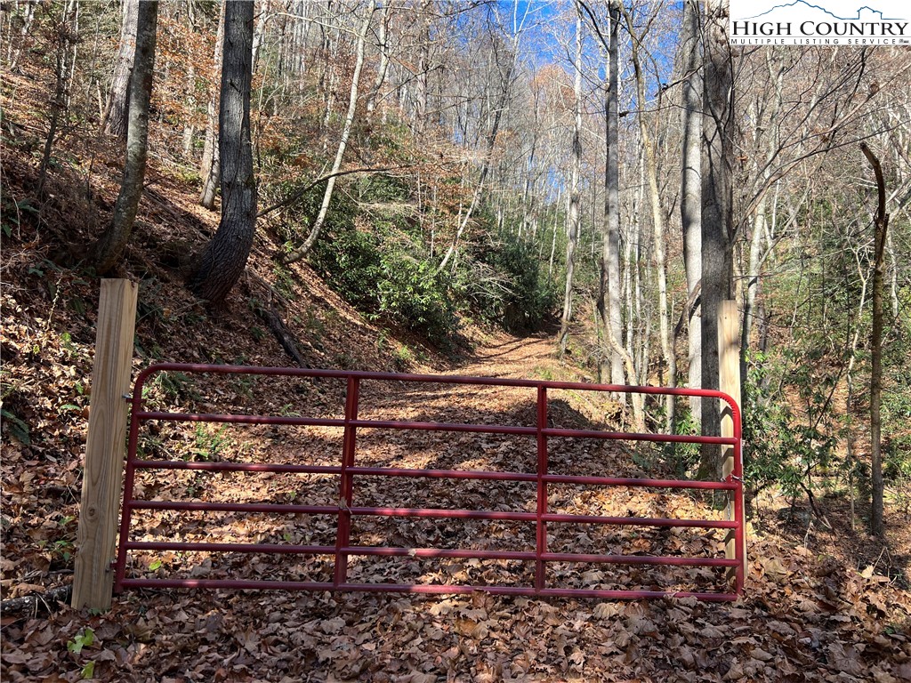 Copperhead Hollow Road Butler, TN 37640 - Photo 20 of 34