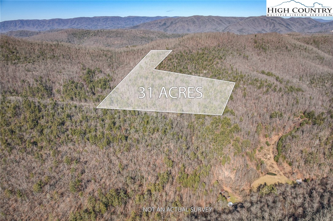 Copperhead Hollow Road Butler, TN 37640 - Photo 2 of 34