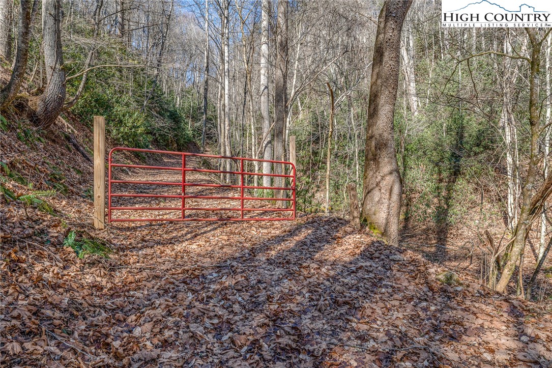 Copperhead Hollow Road Butler, TN 37640 - Photo 21 of 34
