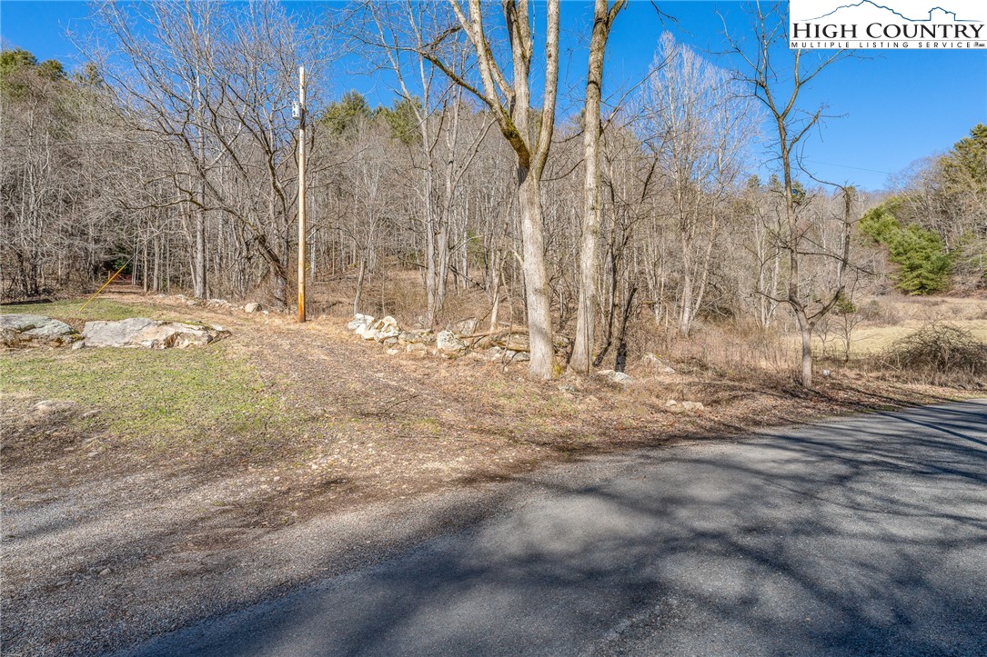Copperhead Hollow Road Butler, TN 37640 - Photo 24 of 34 a view of a yard with trees