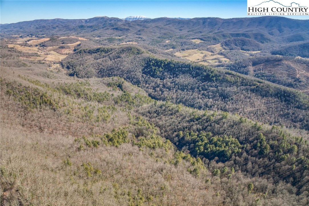 Copperhead Hollow Road Butler, TN 37640 - Photo 26 of 34 a view of a dry field