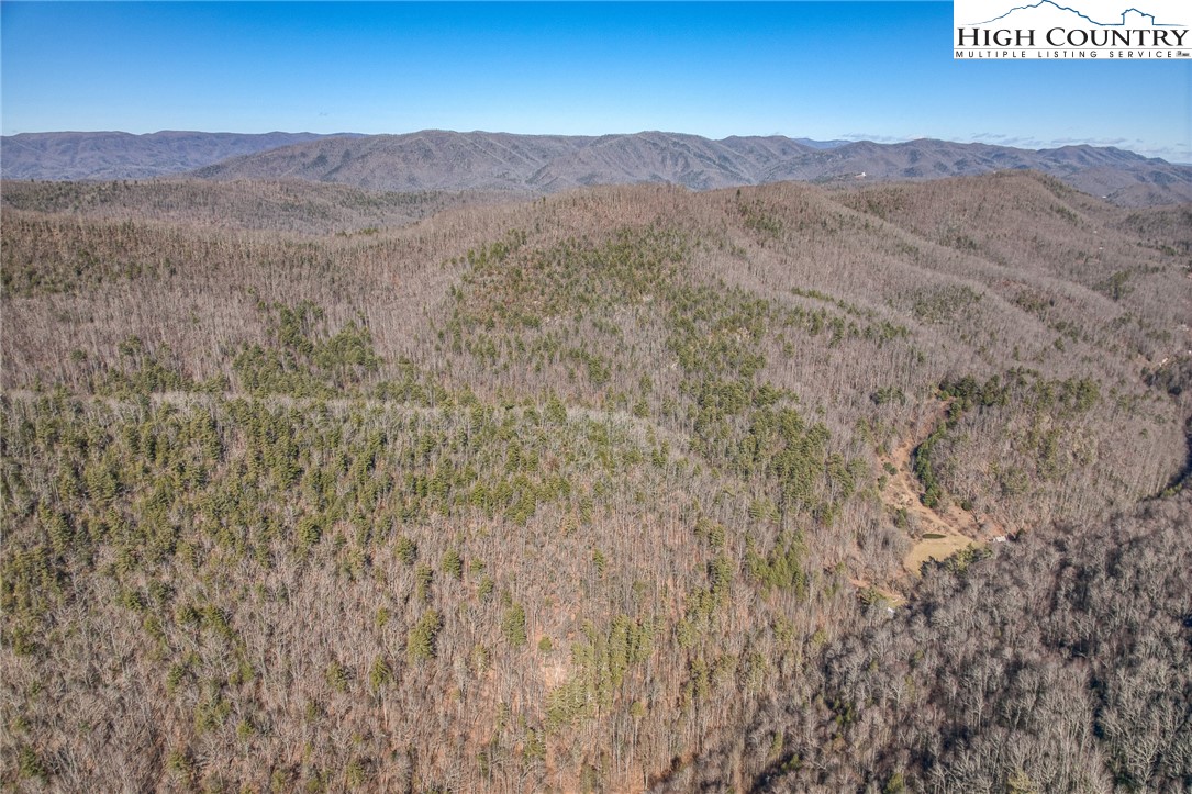 Copperhead Hollow Road Butler, TN 37640 - Photo 27 of 34