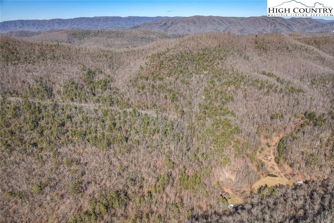 Copperhead Hollow Road Butler, TN 37640 - Photo 28 of 34