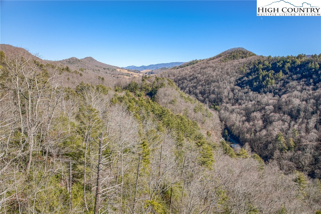 Copperhead Hollow Road Butler, TN 37640 - Photo 29 of 34
