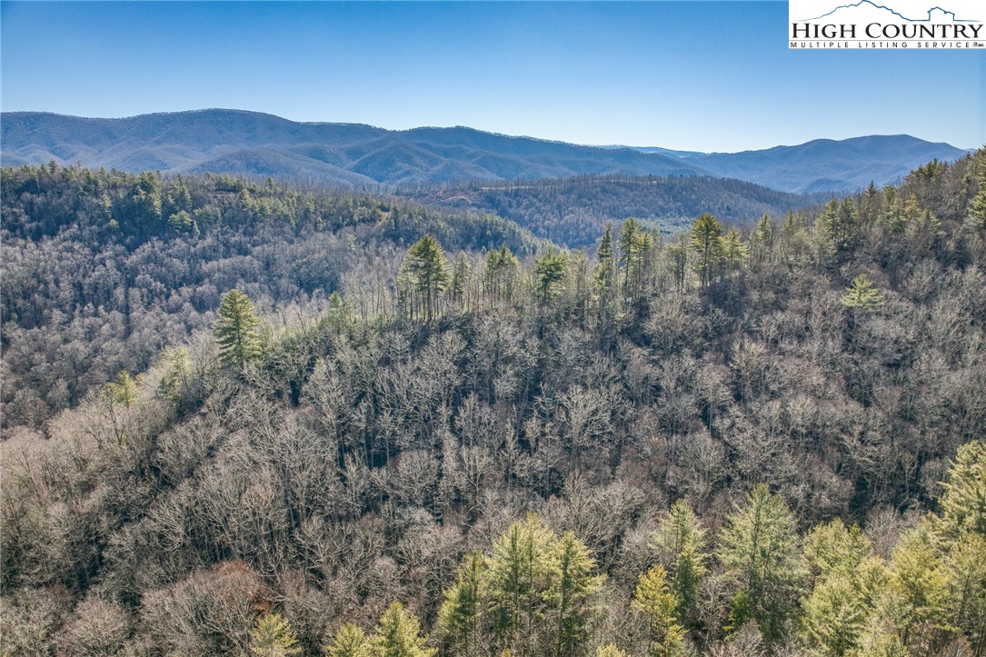 Copperhead Hollow Road Butler, TN 37640 - Photo 30 of 34 a view of a forest with mountains in the background