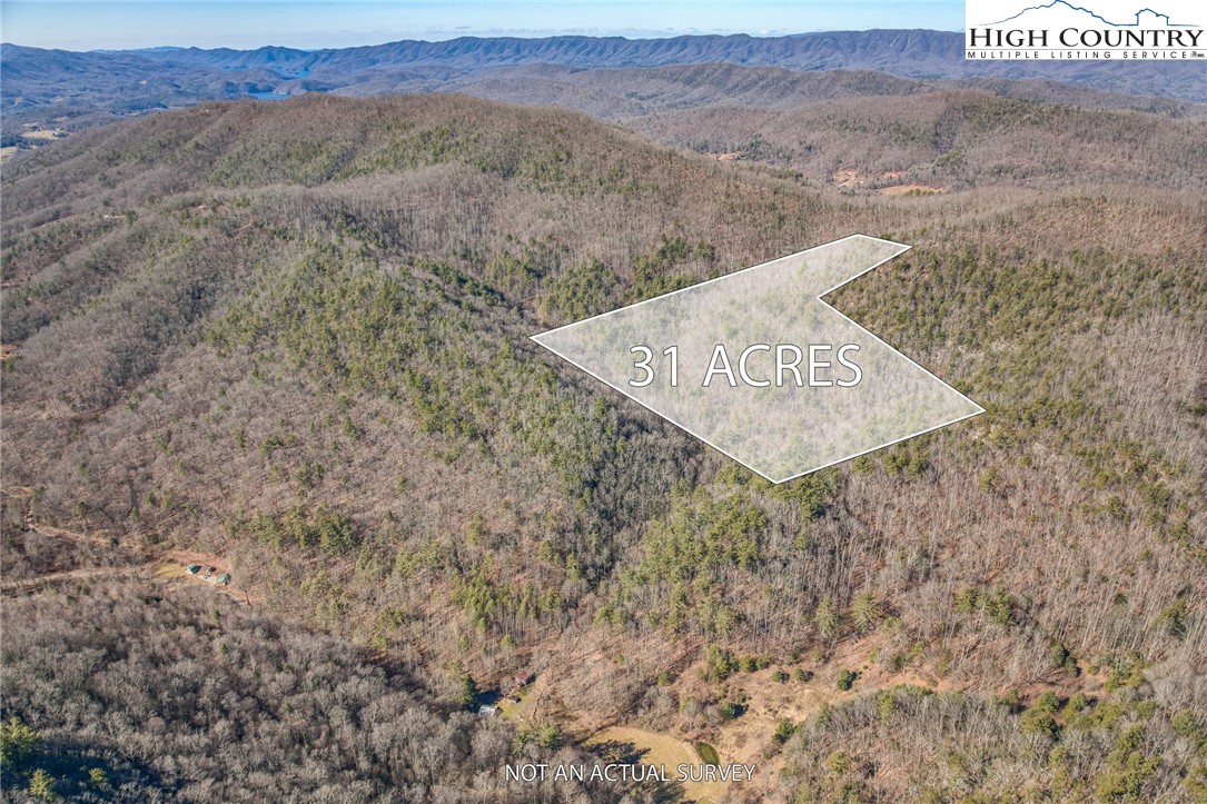 Copperhead Hollow Road Butler, TN 37640 - Photo 3 of 34