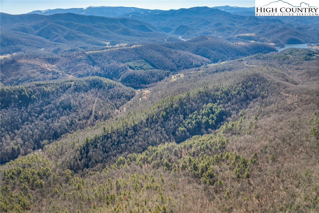 Copperhead Hollow Road Butler, TN 37640 - Photo 31 of 34