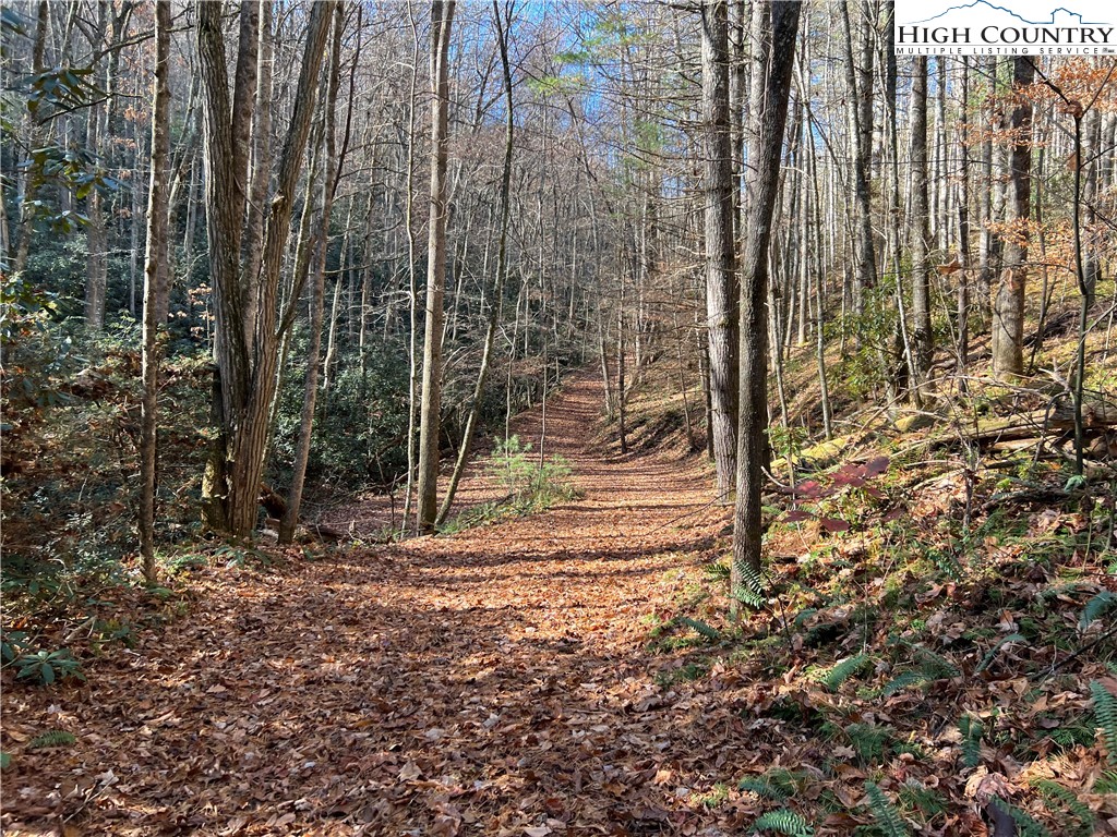 Copperhead Hollow Road Butler, TN 37640 - Photo 6 of 34