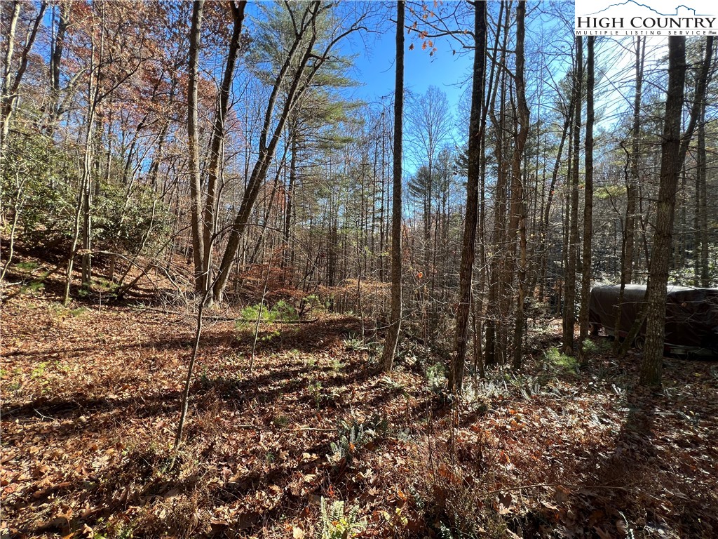 Copperhead Hollow Road Butler, TN 37640 - Photo 10 of 34 a view of a forest with trees