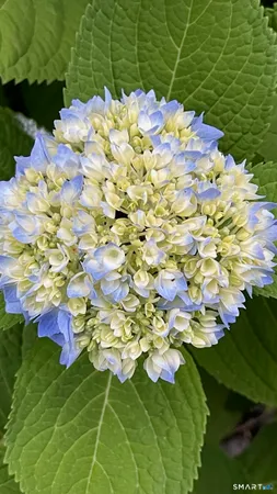 $319,000 | 32 Jackson Road, Enfield, CT 06082