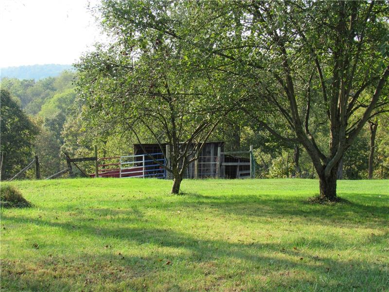 753 Cedar Grove Road Burgettstown, PA 15021 - Photo 8 of 21
