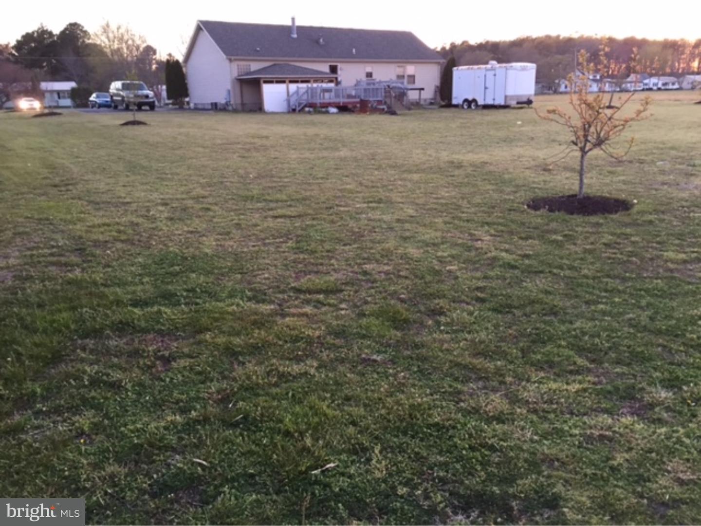 55 Rte 356 Frankford, DE 19945 - Photo 3 of 15 Back Yard