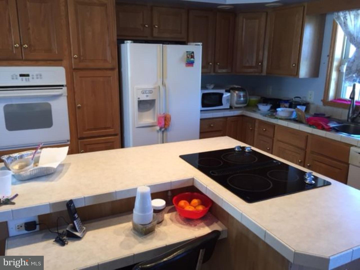 55 Rte 356 Frankford, DE 19945 - Photo 7 of 15 Kitchen
