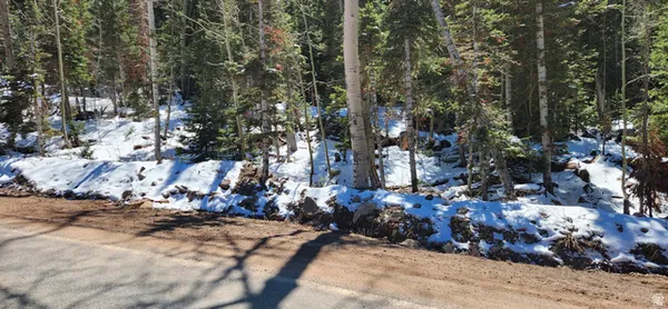 $78,000 | Undisclosed Address, Brian Head, UT 84719