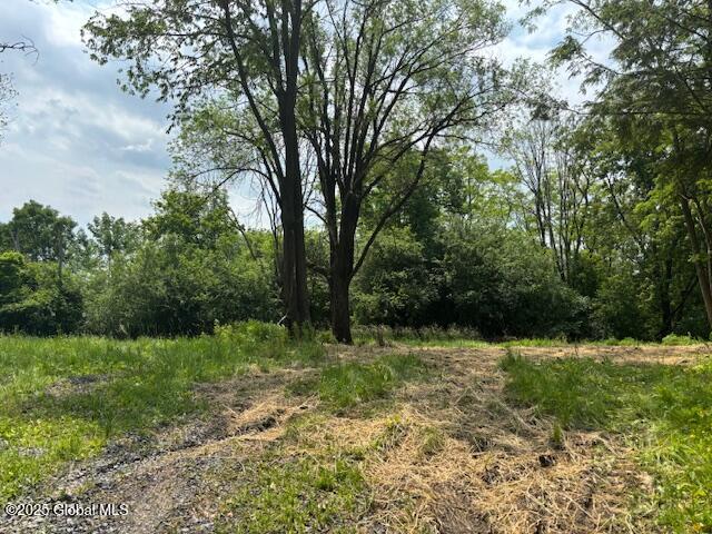 1741 Scotch Ridge Front,