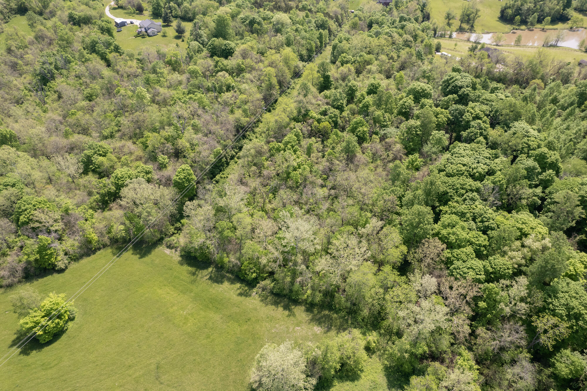 0 Possum Path Road Burlington, KY 41005 - Photo 15 of 16 Gallery Image 15
