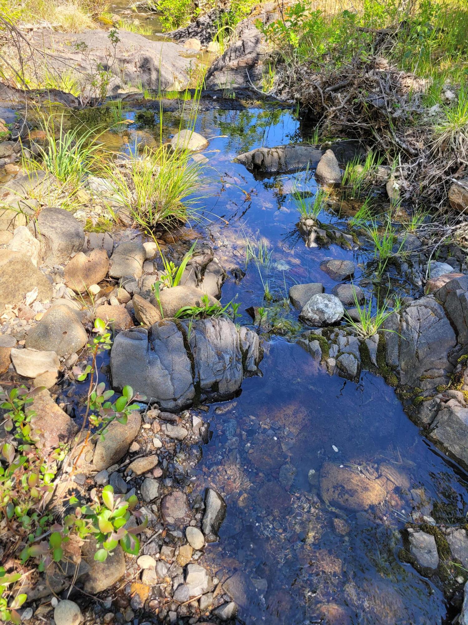 6277 West Side Road Cave Junction, OR 97523 - Photo 12 of 19 1.6