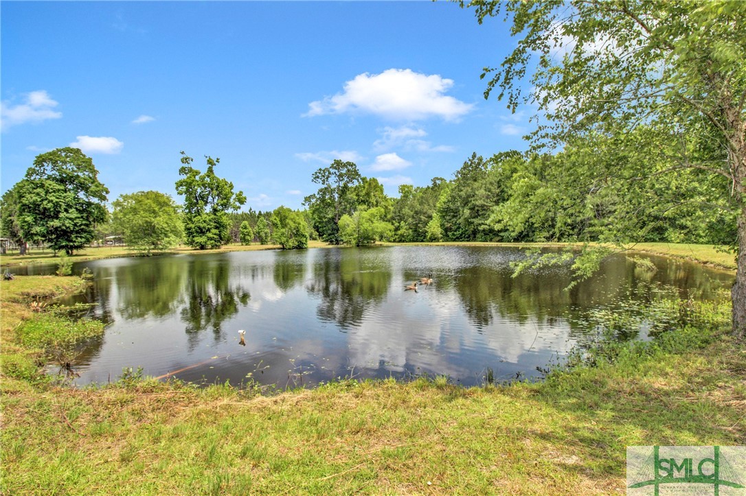 1600 Arcola Road Pembroke, GA 31321 - Photo 6 of 50 Pond