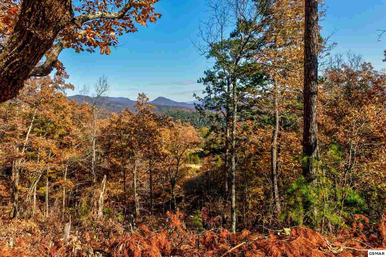 14 Autumn Ridge Way Sevierville, TN 37876 - Photo 4 of 7