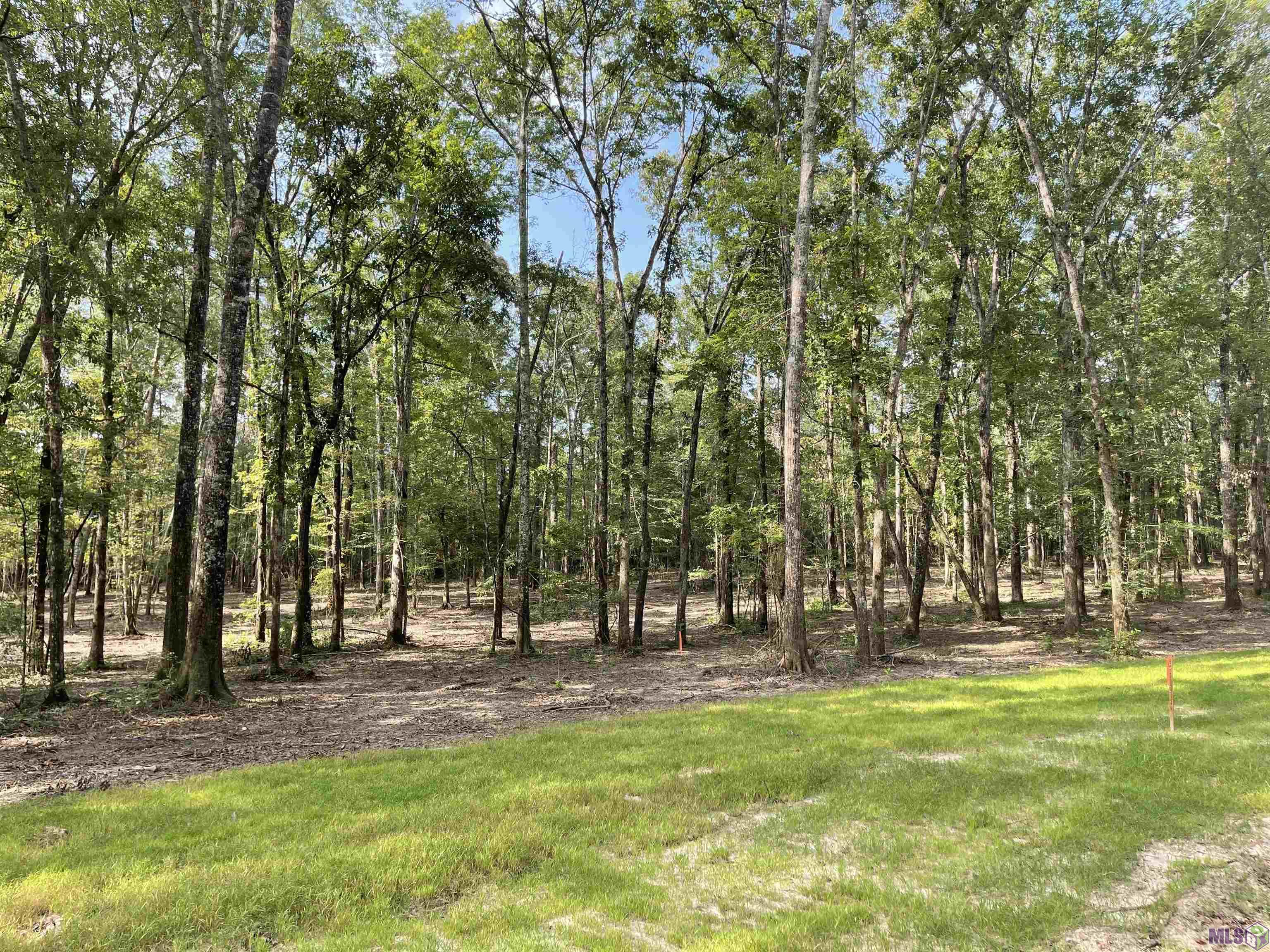 8105 Hepzibah Road Clinton, LA 70722 - Photo 2 of 2