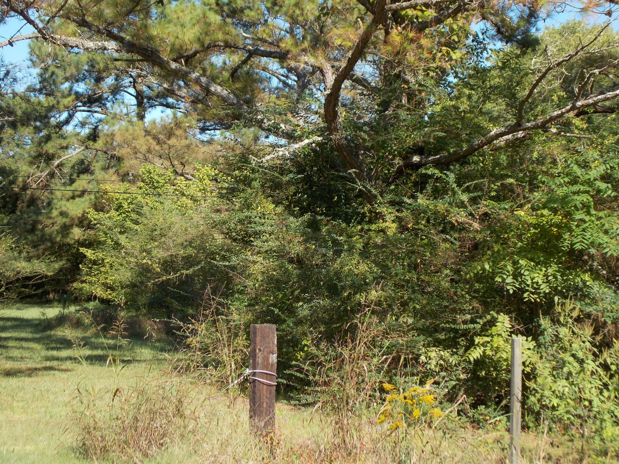 0 Godwin Road Linden, TN 37096 - Photo 1 of 2 Gallery Image 1
