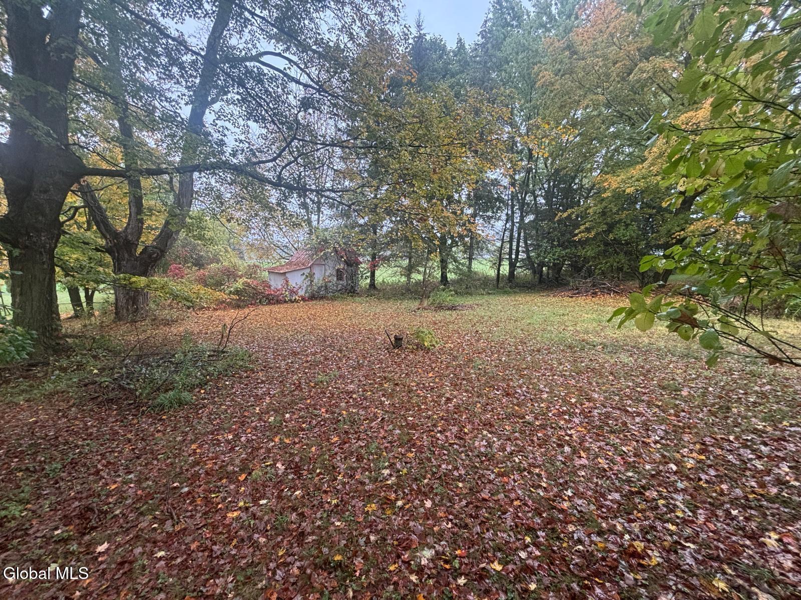 135 Seward Lane Seward, NY 12043 - Photo 3 of 8 Image (16)