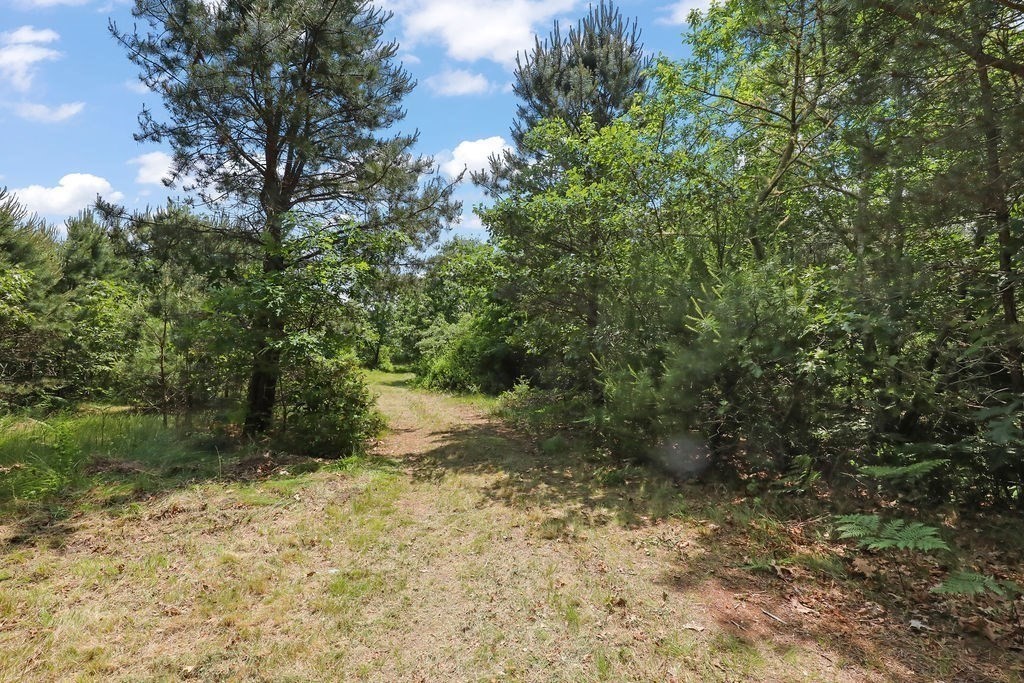 155 Glen Charlie Road Wareham, MA 02538 - Photo 36 of 42 Gallery Image 36
