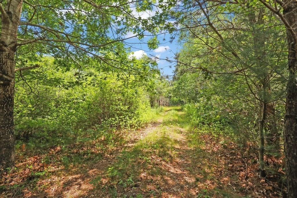 155 Glen Charlie Road Wareham, MA 02538 - Photo 37 of 42 Gallery Image 37