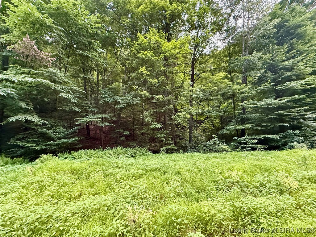 2032 West Goat Hollow Road Vallonia, IN 47281 - Photo 2 of 39