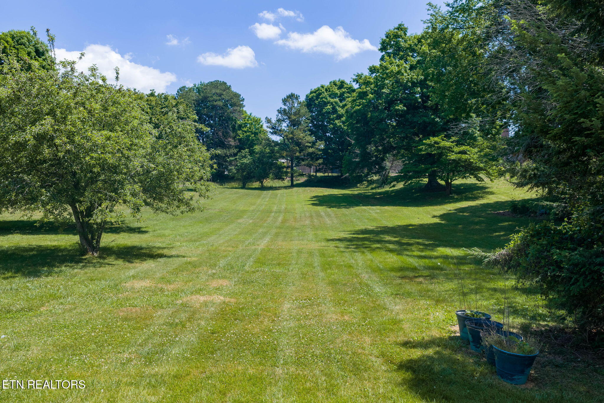 7700 Tazewell Pike Corryton, TN 37721 - Photo 9 of 32 24-web-or-mls-7700 Tazwell--2